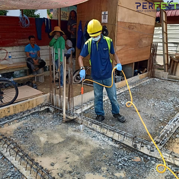 Pest control image 1